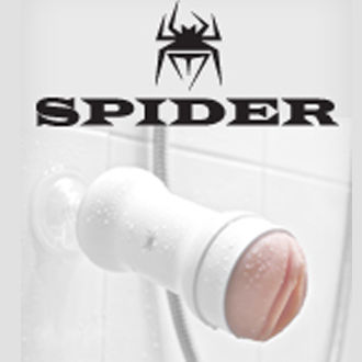 Spider